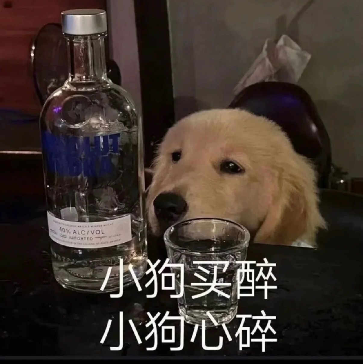 小狗表情包：小狗买醉小狗心碎​​​