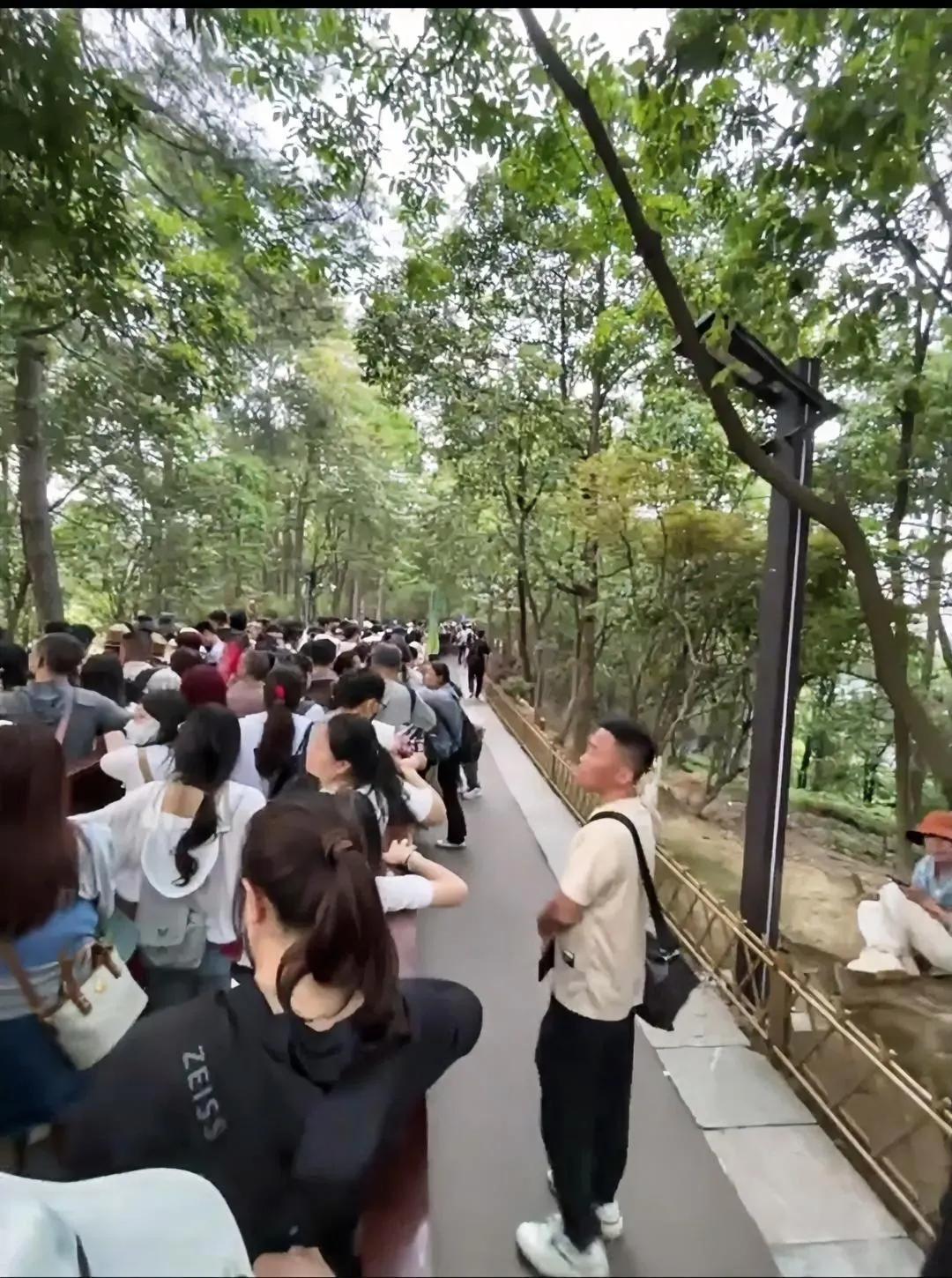 一觉醒来，出去和没出去旅游的人都沉默了。上千名游客滞留在张家界景区，要求退