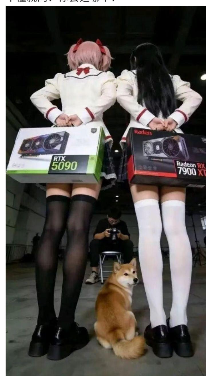 过年了，给你个机会，选一个