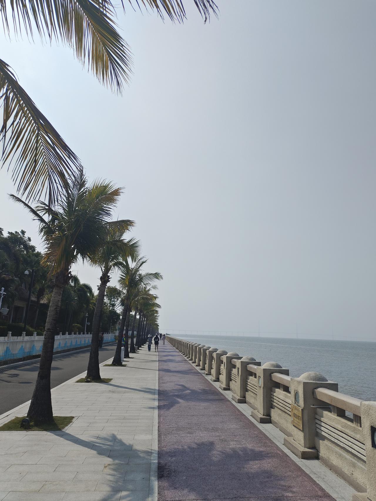 先放下，才能看清人最大的执念，总以为想通了才能放下，其实恰恰相反。弘