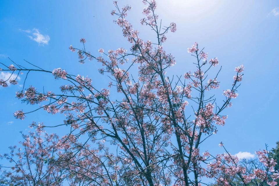 我47了，结婚快20年，一直怀不上。老公跟我提了好几次离婚，我没怪他，就觉得是我