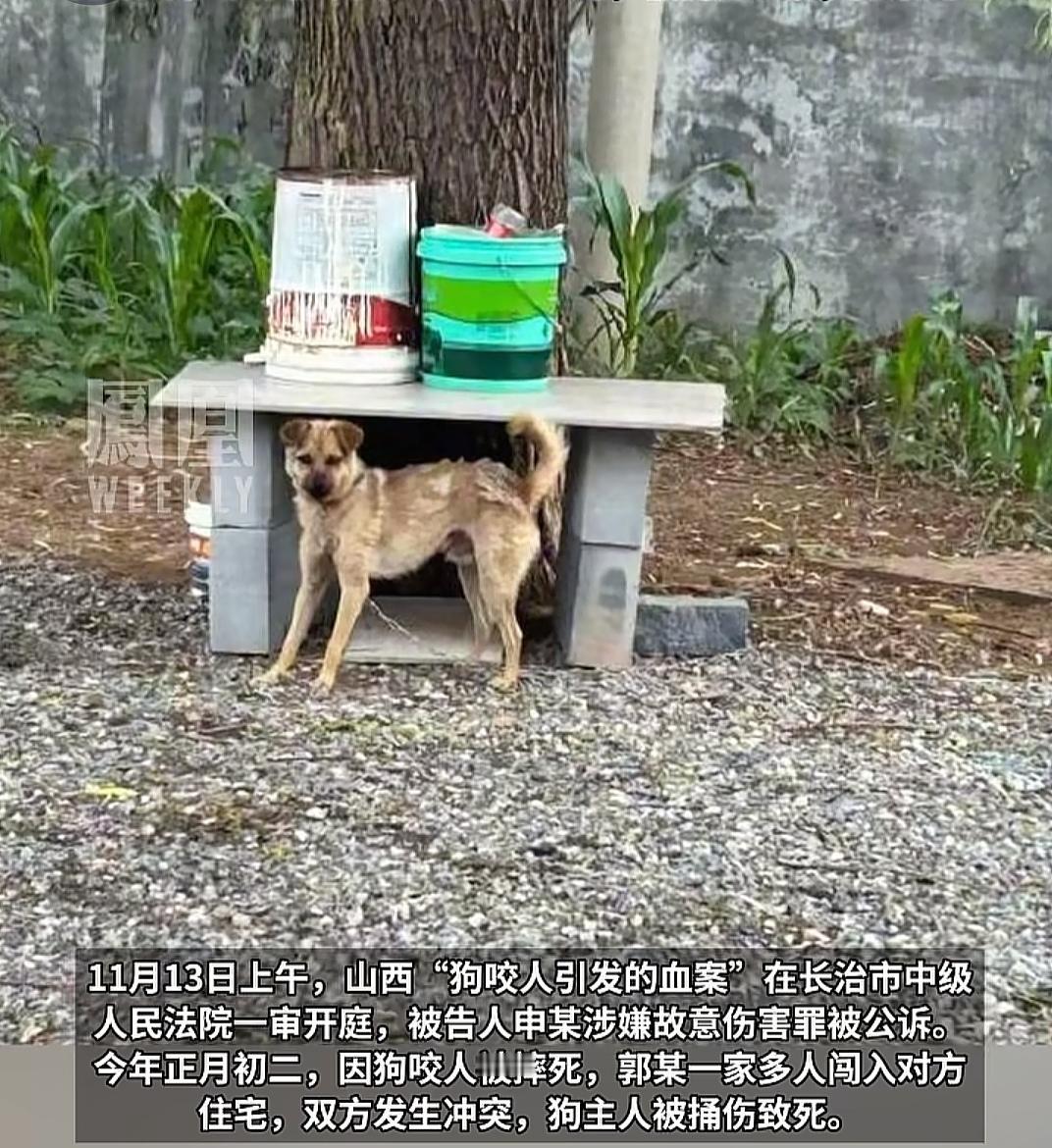 山西那条狗咬人被摔死后，人也被反杀了。两家人是邻居，平时在路上看见了还会打招呼。