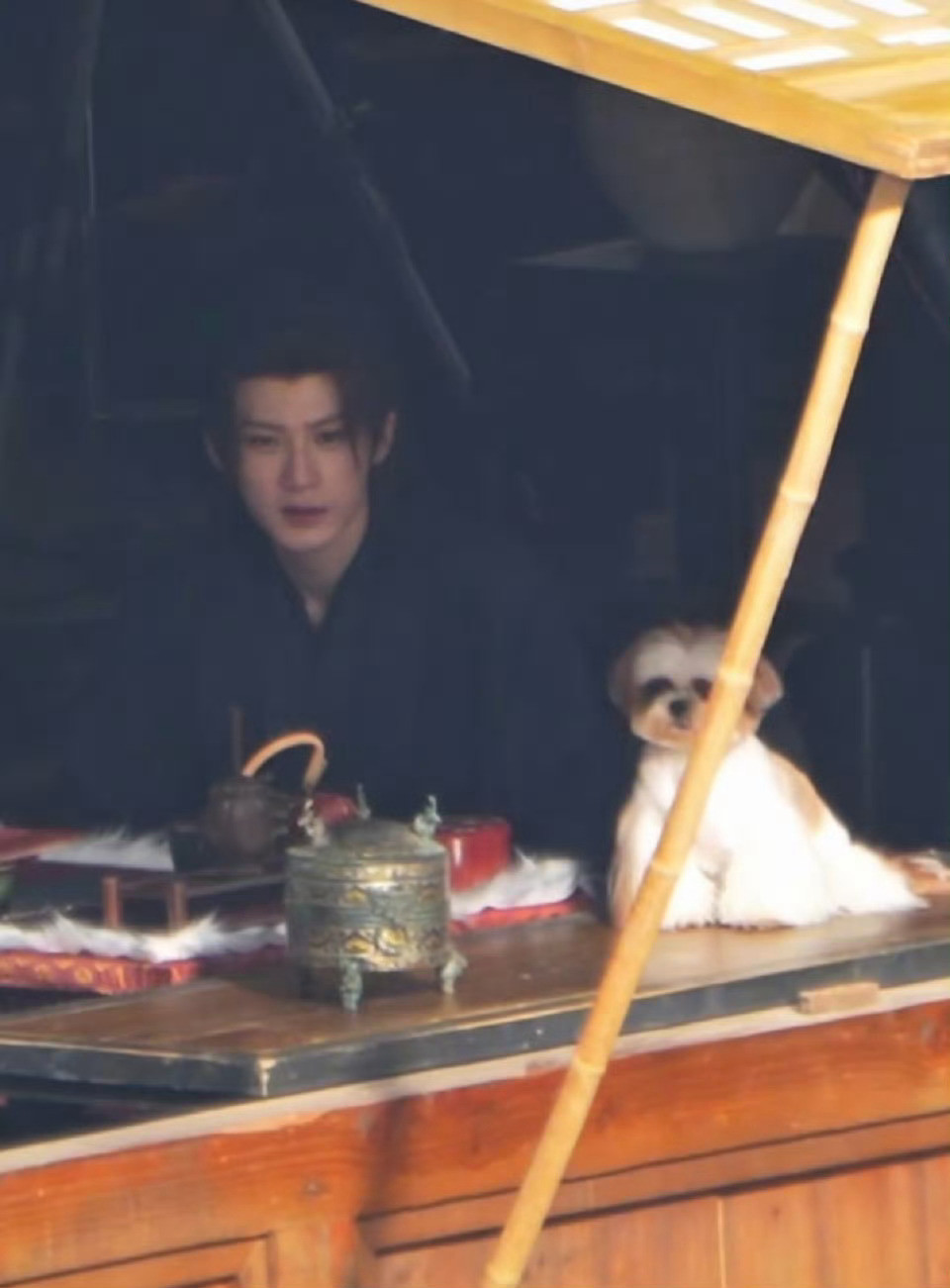 檀健次何不同舟渡片场撸狗我们狗界顶流小呆呆又在片场陪爸比上班啦小呆你知道有多少人