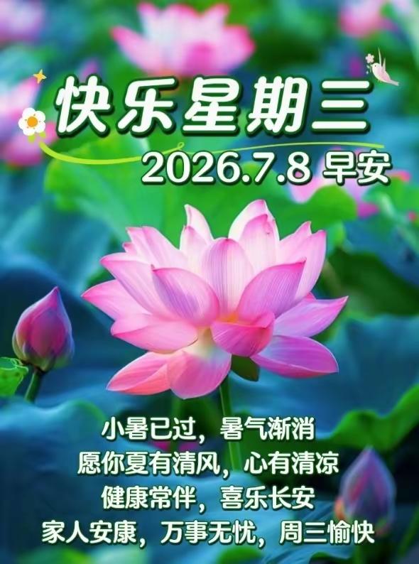 清晨的风裹着草木清香漫过窗棂，细碎阳光落在桌角，新的一天温柔启程。别纠结昨日遗憾
