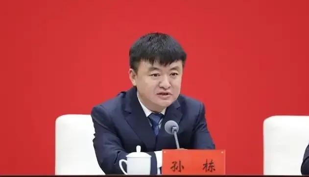 孙栋终于是太贪了，35岁就是正处，43岁就是副厅，能力上出众，职级上飞升，地位显