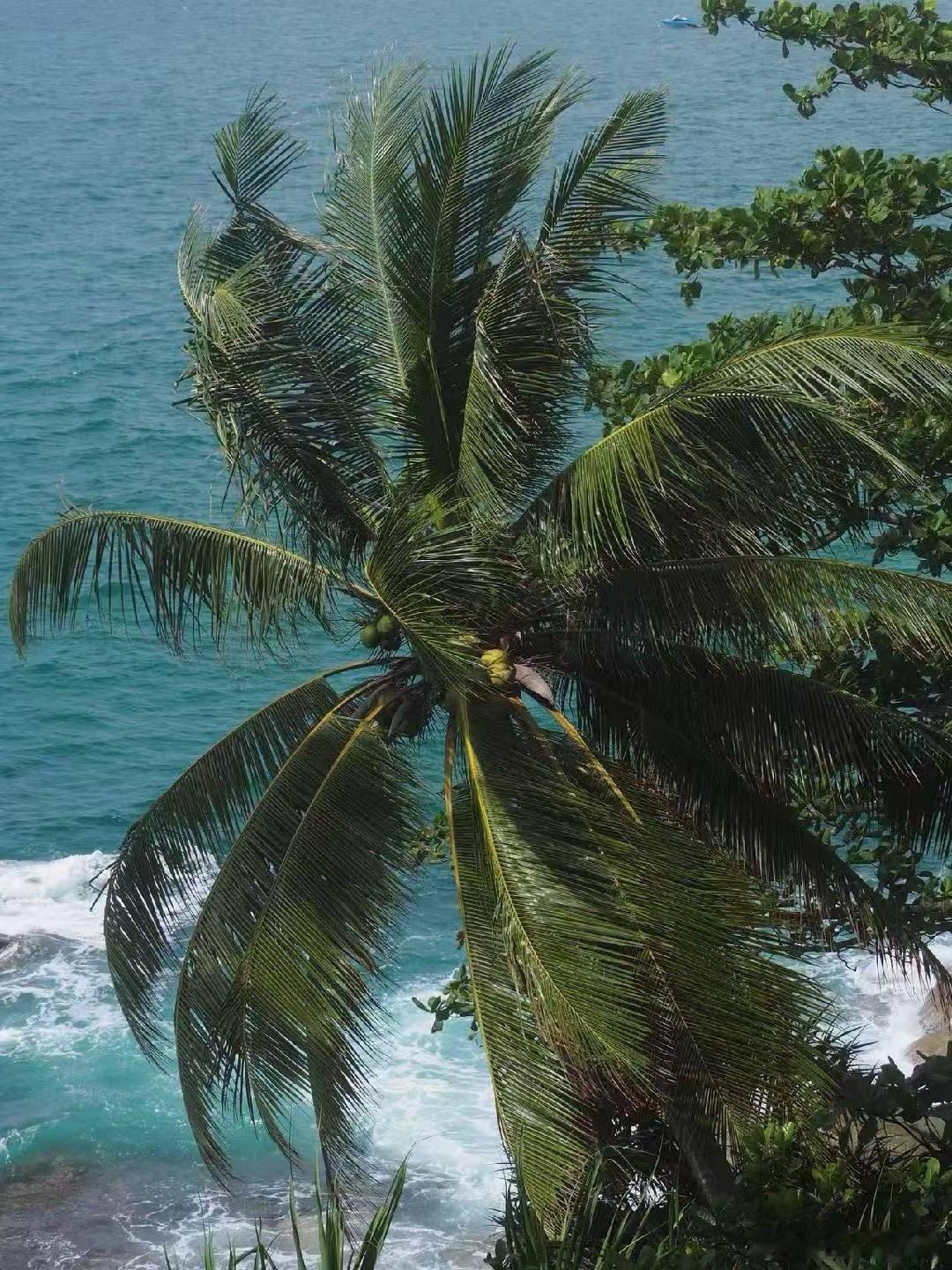 狂心若歇，歇即菩提———《楞严经》急的背后是贪：贪快、贪结果、贪一切的发展要如自