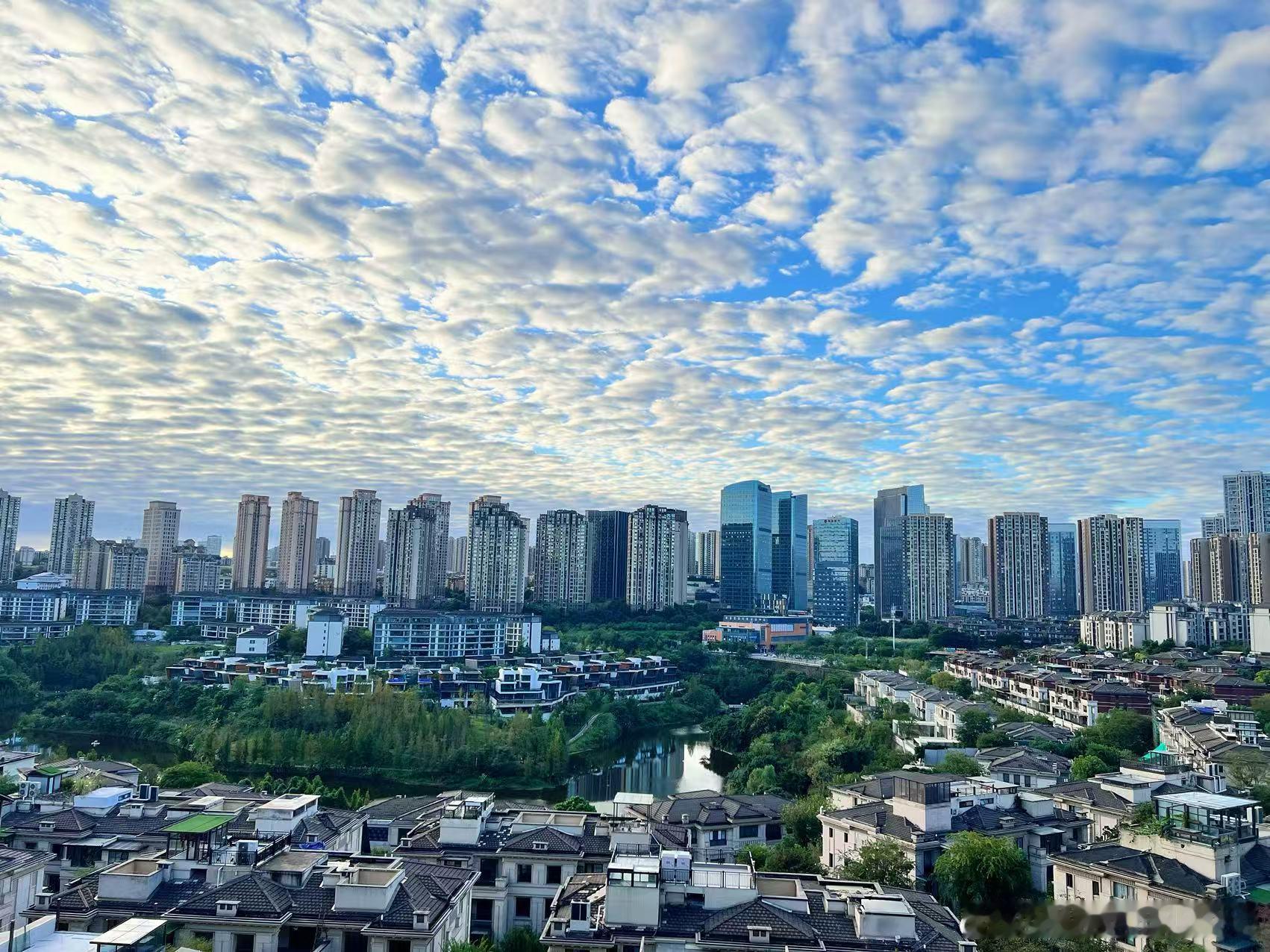 老婆发来的相片，今天重庆天气真好！​​​