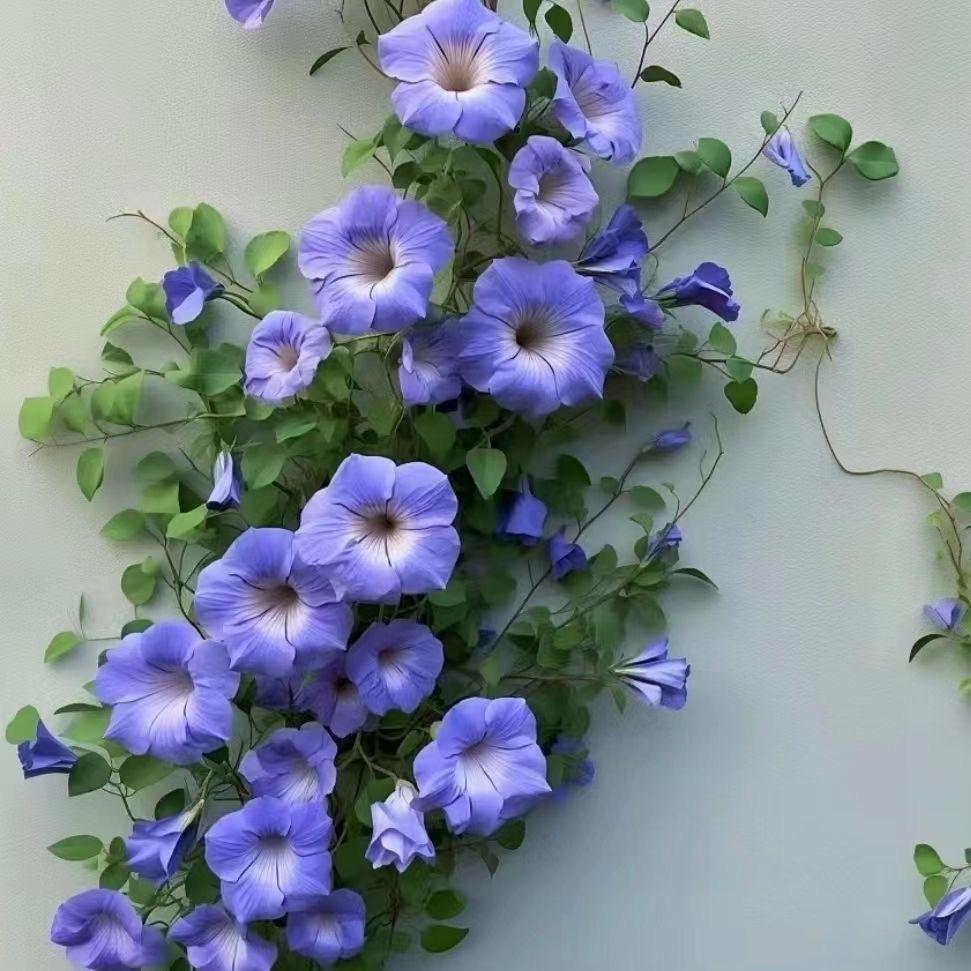 【牵牛花、百日草、千头菊】今天播种了牵牛花、百日草和千头菊。今年爱上了草