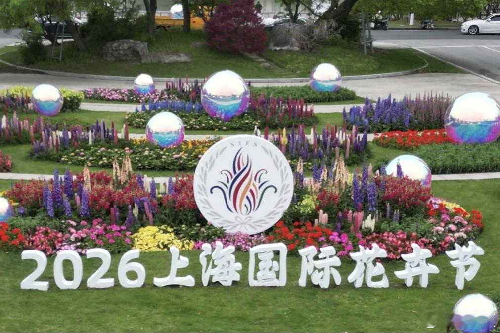 一流的城市一流的展示暮色四合，春风十里，不如上海的这一场花事。今天（5月10日）