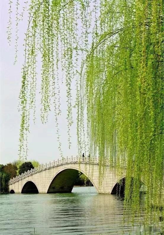 上联：雪吻梅花醉，下联：风拂柳叶新。