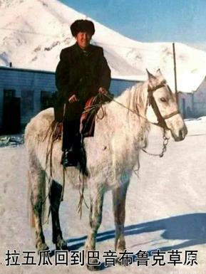 1951年，驻守阿里的先遣连断了粮，逼得连战马都宰了吃。眼看全军要活活饿死，一个