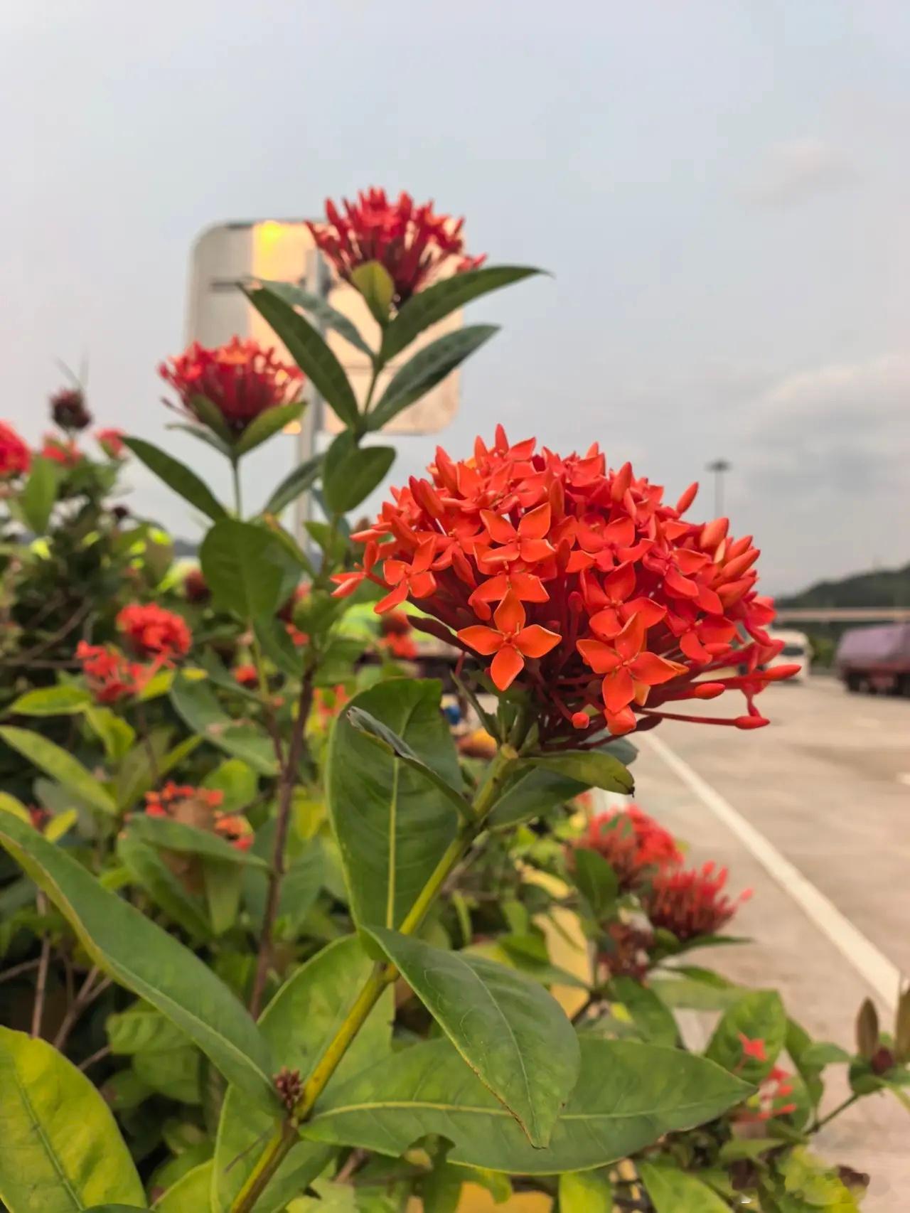 ✔题材方面：❏𝟭商业航天：国家航天局，中国航天任务继续密集实施，包括天问二号、