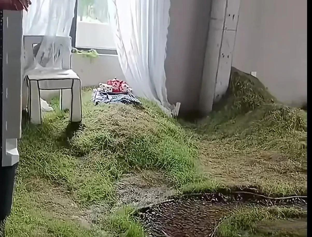 头一回见这种苏式园林装修风格的房子。家里房子要是不准备卖的话，可以按照图中这种