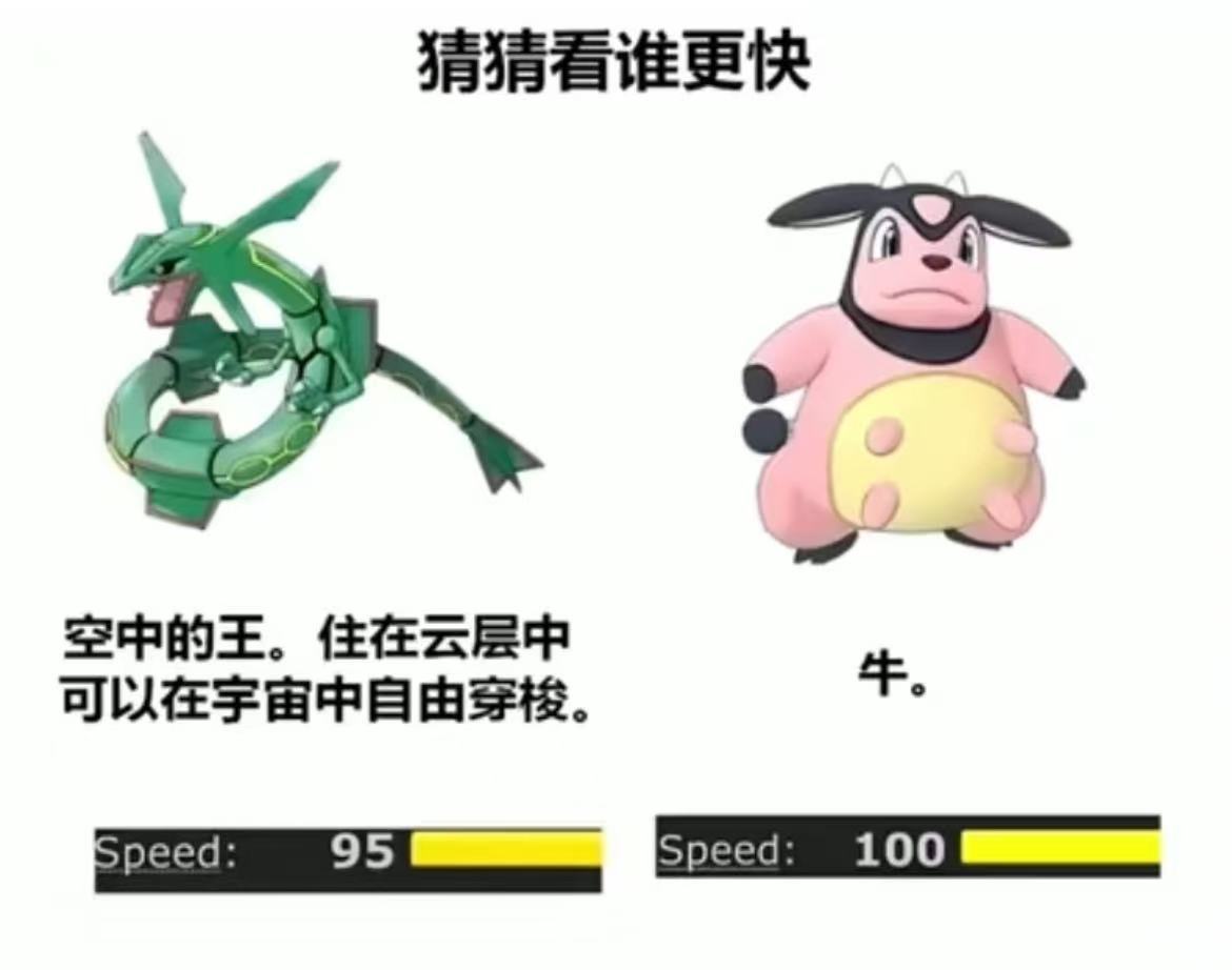 牛。​​​