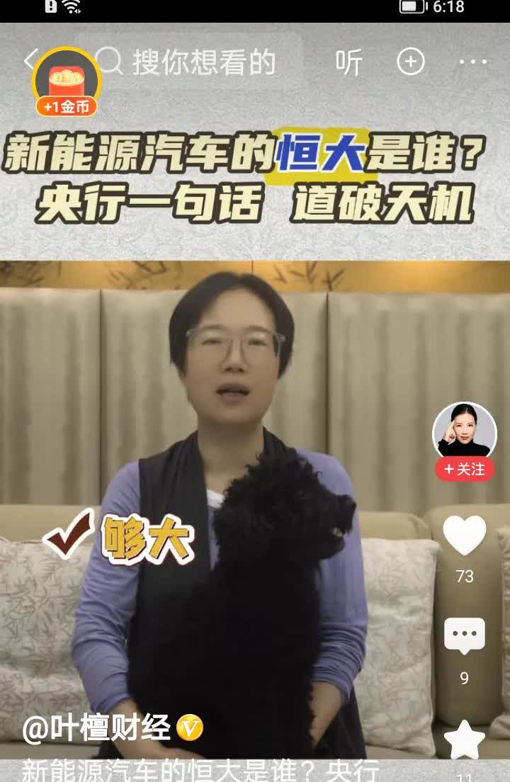 著名经济学家叶檀女士，通过数据分析认为，在中国汽车行业中，恒大（此处她指的是中国