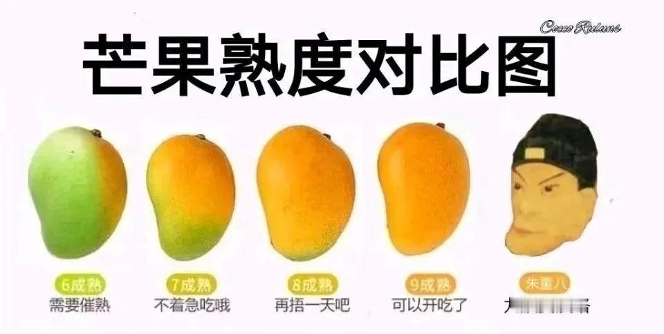 九族要没咯​​​