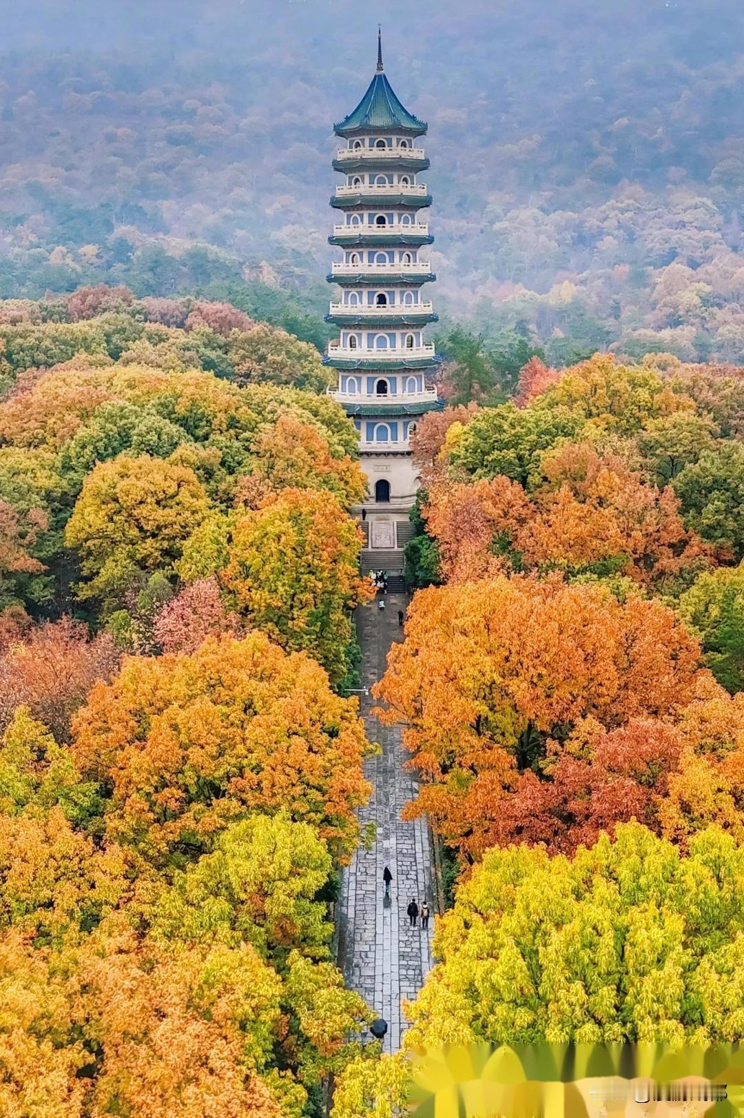 秋天值得去一趟南京的紫金山！紫金山位于江苏省南京市的玄武区，别称钟山，古称金陵
