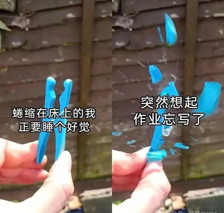今日meme梗图meme热点搞笑此图有梗离谱但合理