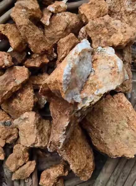 大连男子与家人在庄河爬山，8岁儿子突然说：“爸爸，这座山下有黄金！”来源：半岛