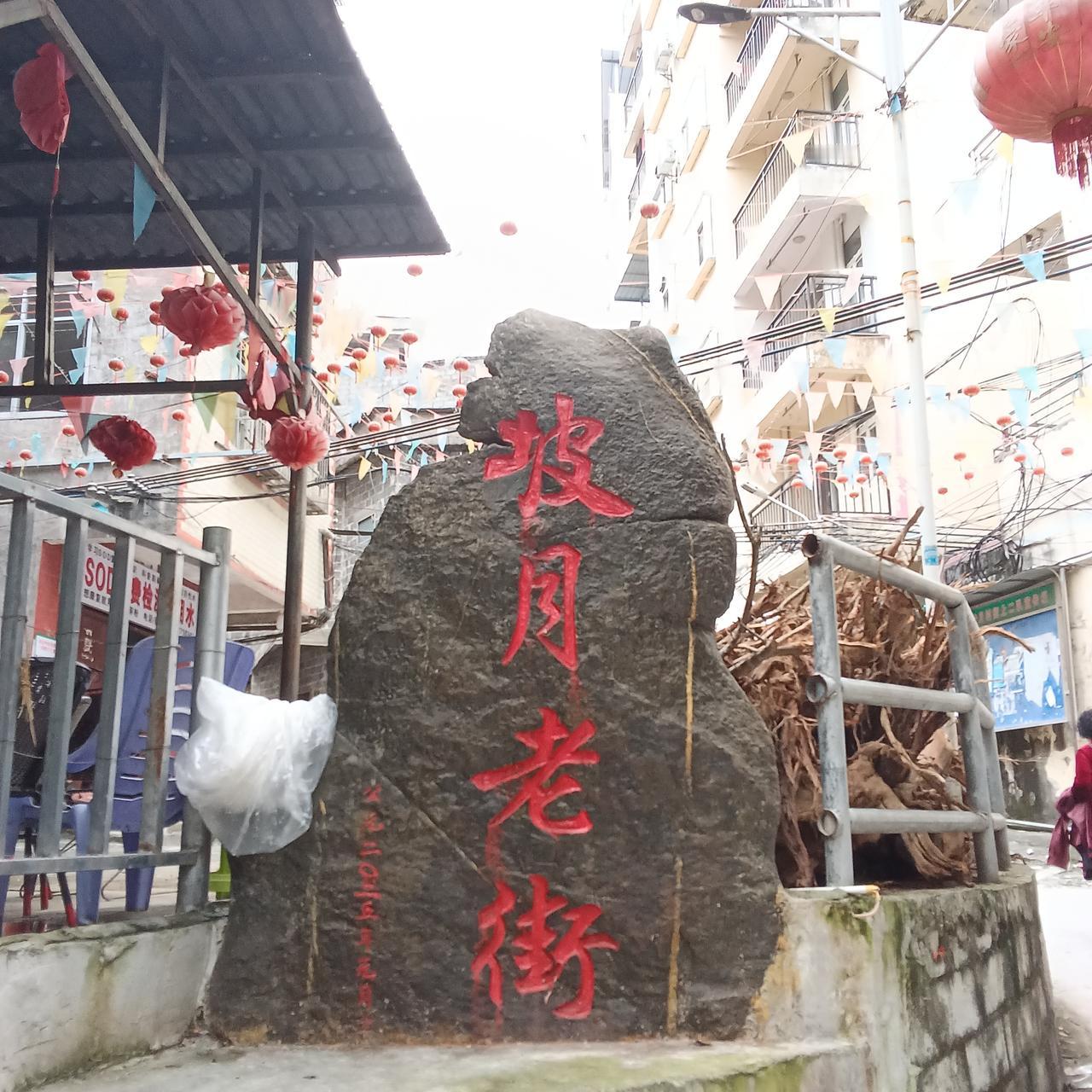 然而在广西巴马，我没有感受到任何冬天的迹象，这里仍然绿意浓浓秋意盎然。河中的