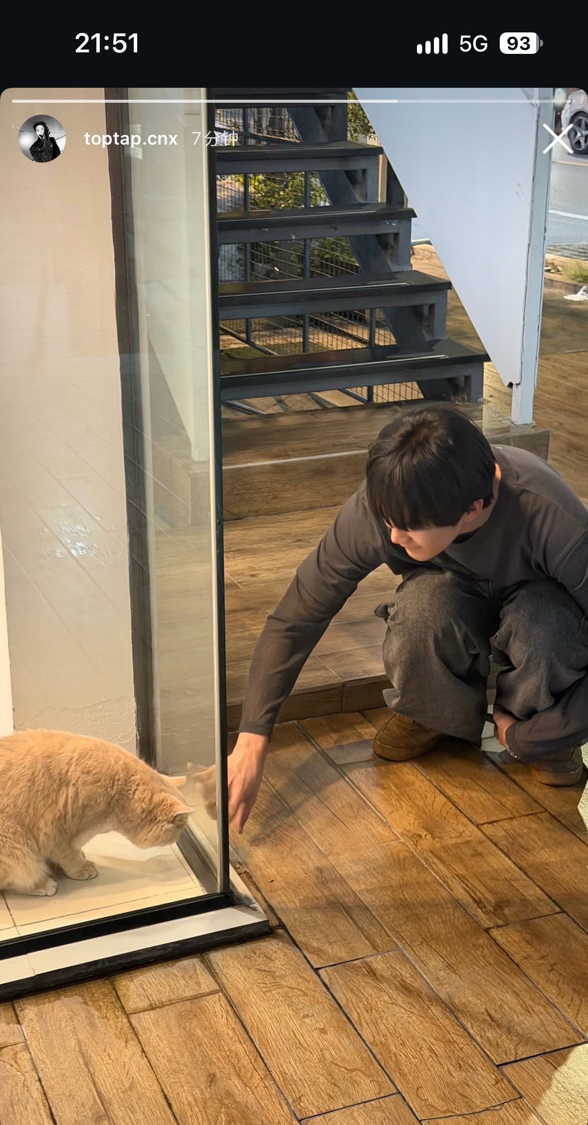 toptapminlee这里有两只咪🐱​​​