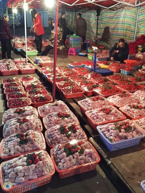 州市蒙阳镇蒙阳水果批发市