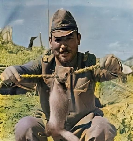 1937年，河北，有个日本军官碰到一只黄鼠狼，二话不说，就抄起一根草绳把它活活勒