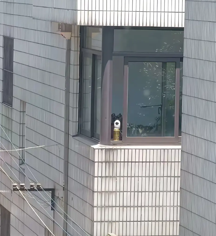 这要如何治治这位邻居？