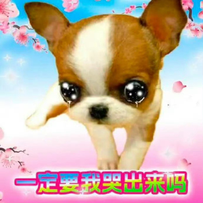 我这两天没啥时间看威逼掉了三千🥣ydl