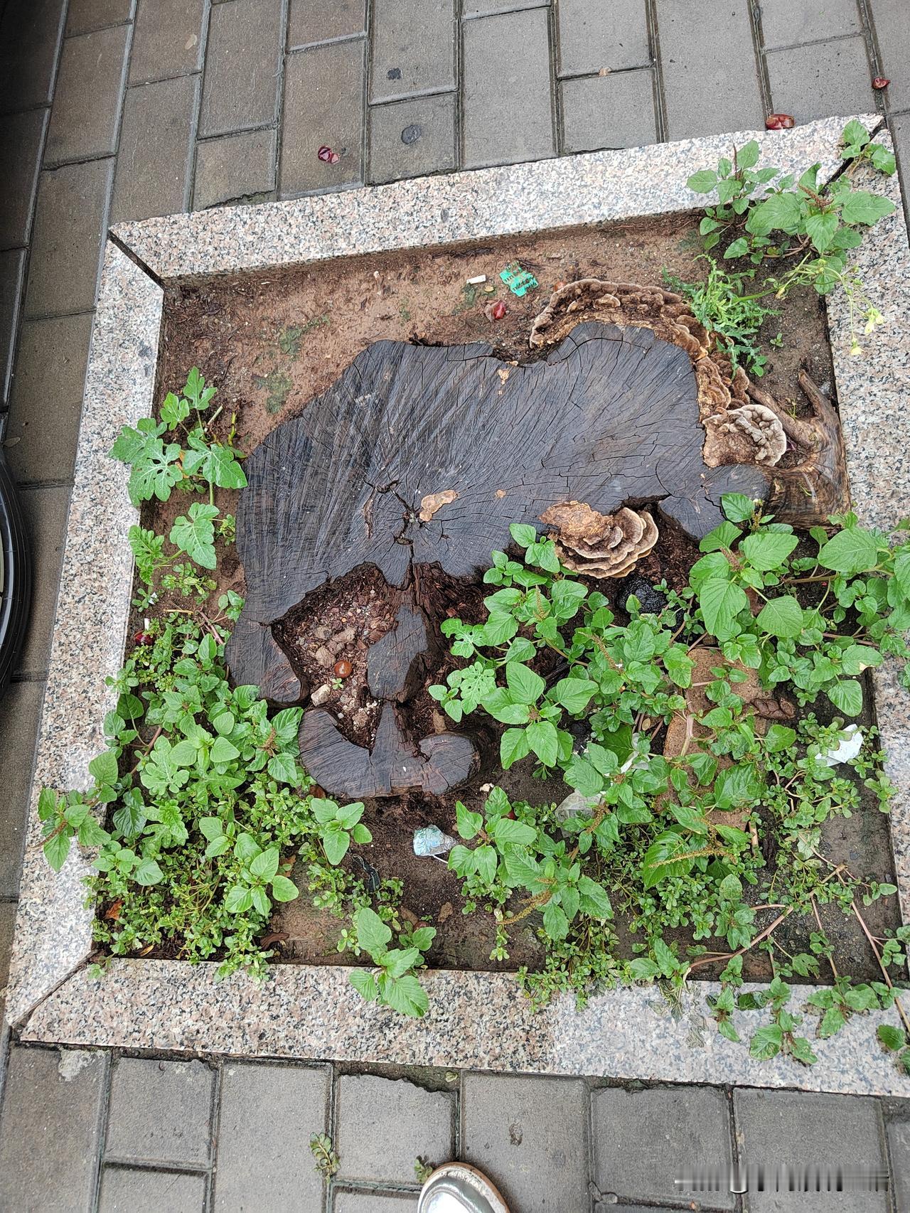 你认为给女儿陪嫁一套房合理吗?我邻居，就准备给女儿陪嫁一套房呢！不过目前呢，