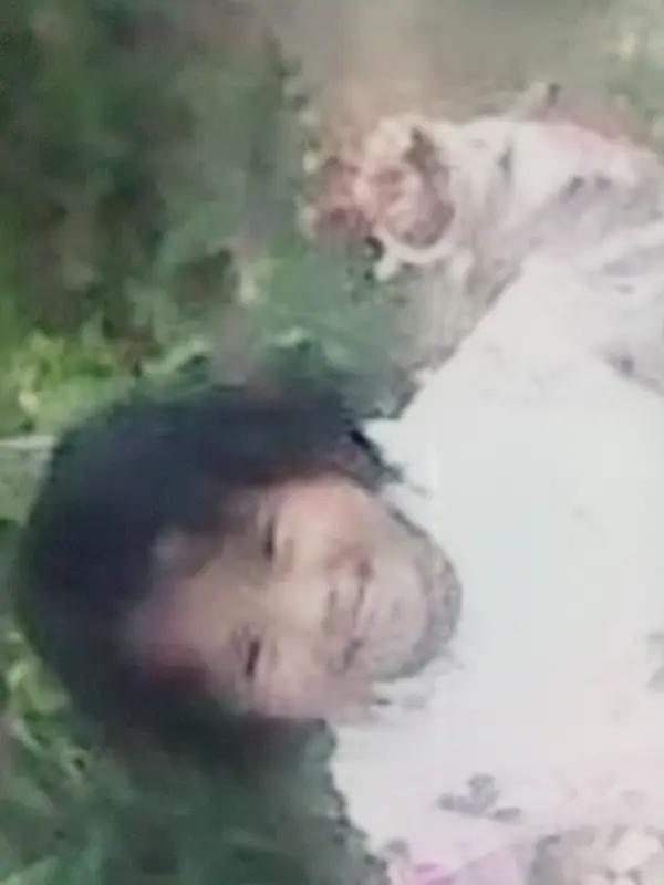 女孩被虐死案继母许金花被执行死刑小女孩被虐死案真的让人痛心疾首。继母许金花对女