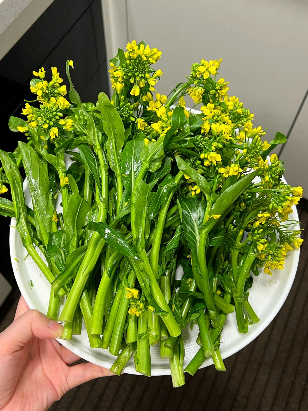 谁懂这盘菜的含金量