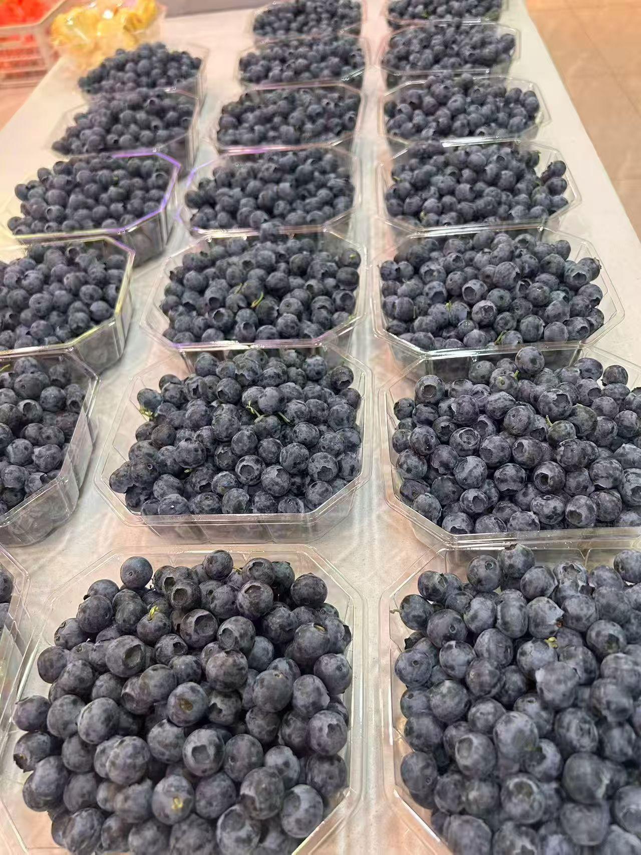 吃蓝莓拉肚子，我觉得这个应该跟个人体质有关系吧~蓝莓这两年可谓是风头正盛，这