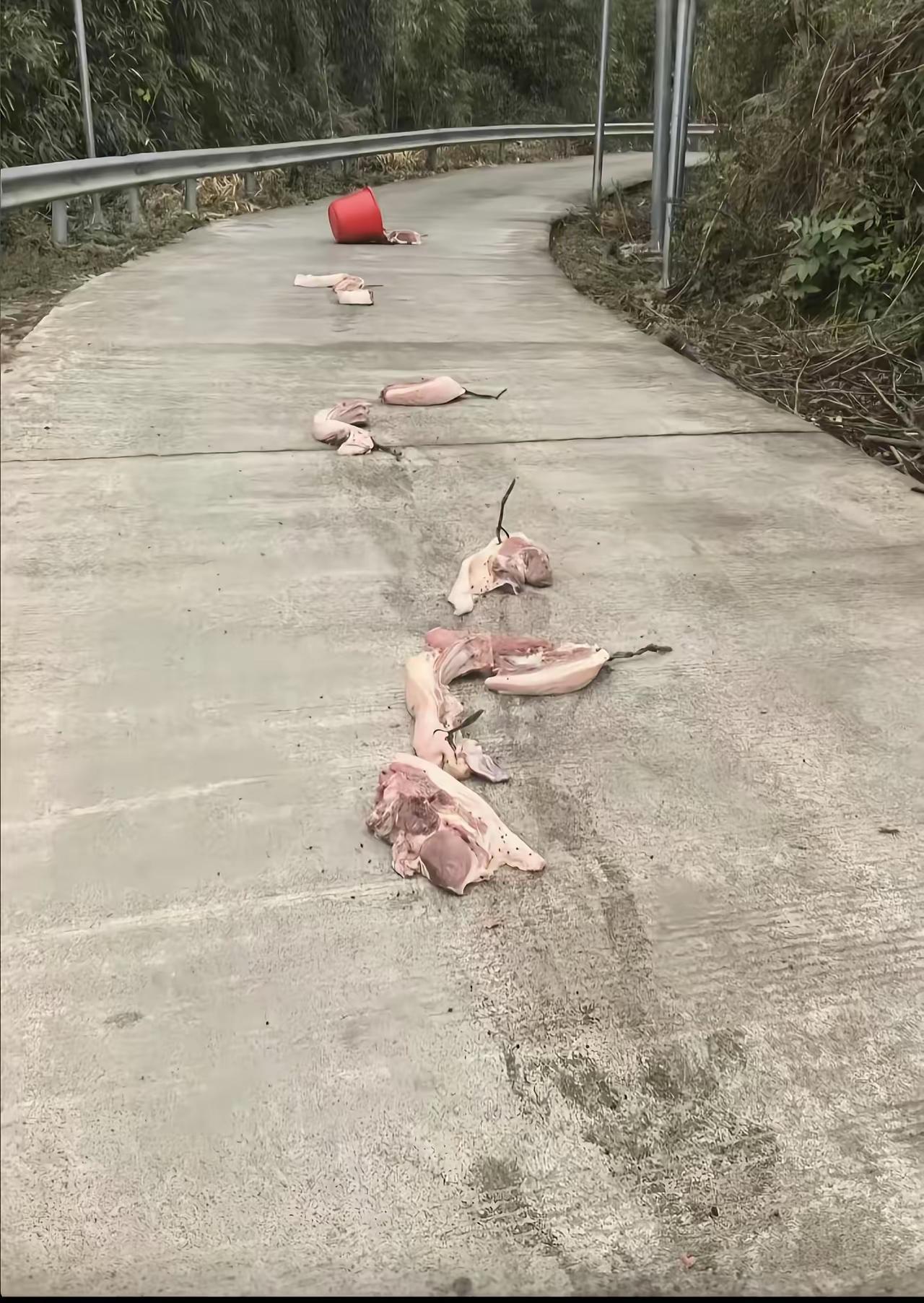 开车在乡间小道上碰到这种情况怎么办？捡还是不捡？需要注意什么？[？？？]