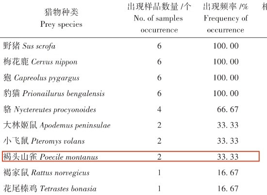 东北虎果然偶尔逮鸟吃的！¹之前以为山大王主要吃野猪肉，其次是梅花鹿肉、狍子肉，