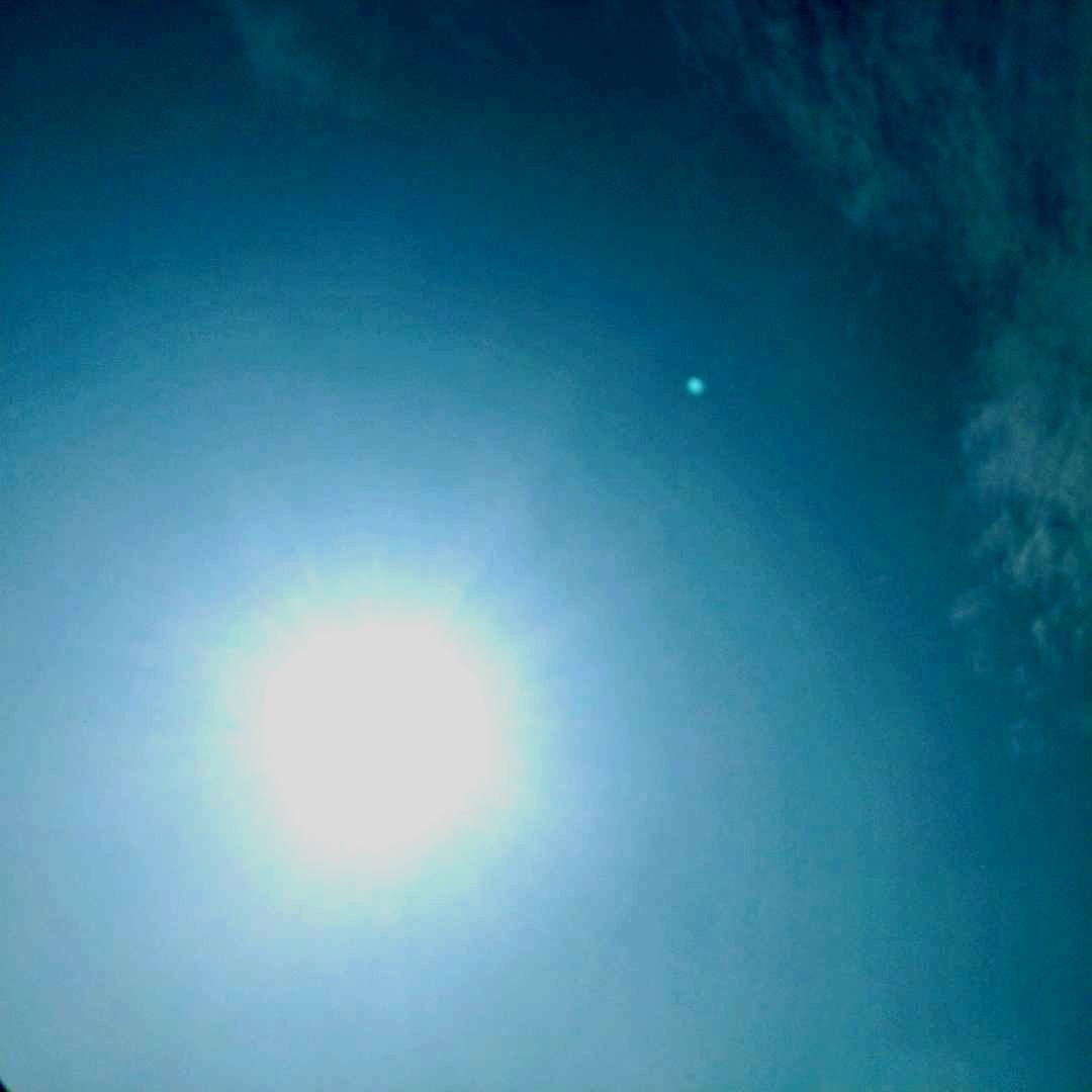 这是一组拍摄于疫情那会儿的图片，当时是2020年的2月份。我记得很清楚的原因是那