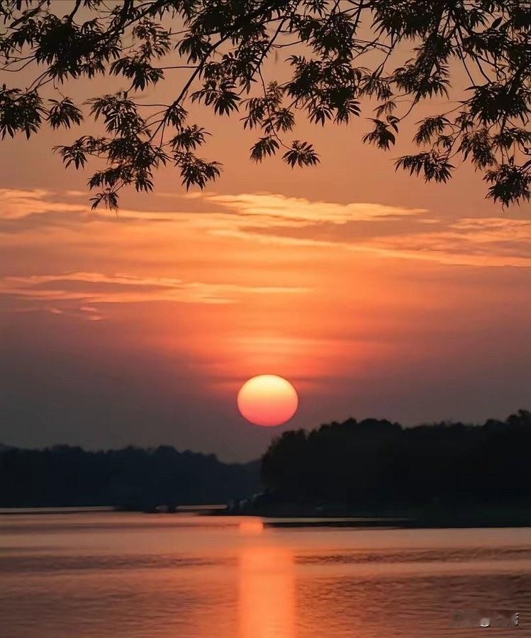 陈小群的投资进化史：从30万到10亿的操盘心路陈小群（本名陈宴群）的崛起，是