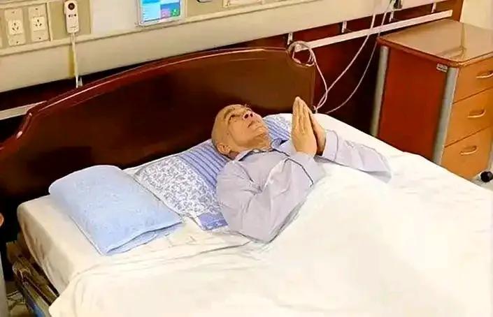 没有后代，老了，病了，孤独感就显出来了。72岁的西哈莫尼病了，前列腺癌，只有8