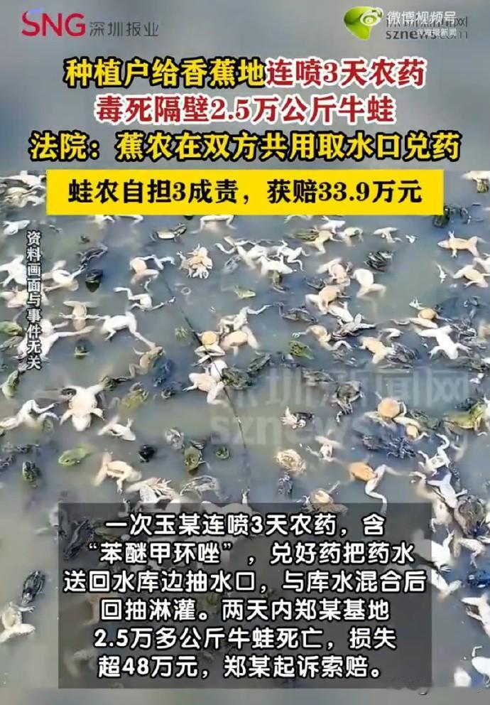 一边是蕉农图省事，把配好的毒水倒回水库；一边是蛙农图省事，不测水质直接抽水灌塘。