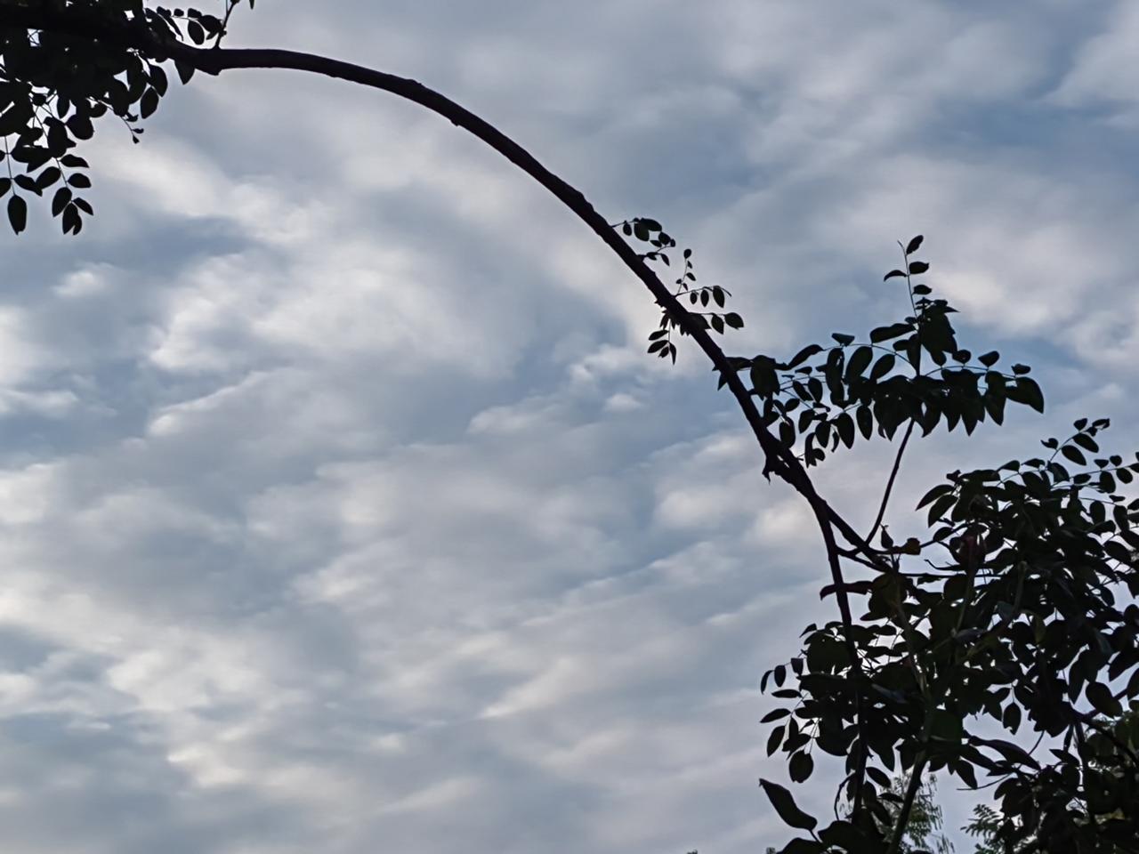 以目前看，人类越来越离不开机器人。