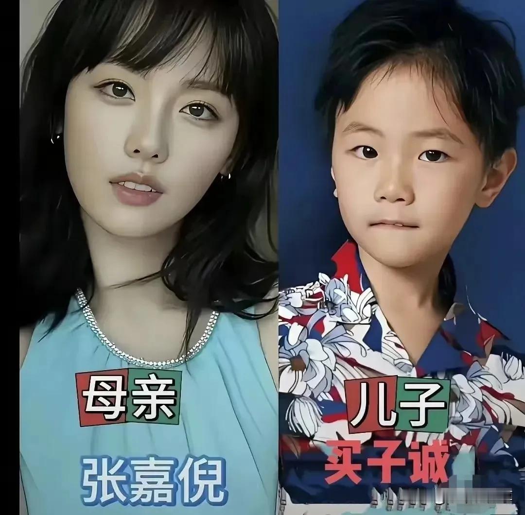 母亲没儿子英俊这才是让人羡慕。张嘉倪一展歌喉,温婉开嗓,歌声温柔惊艳众人，儿子