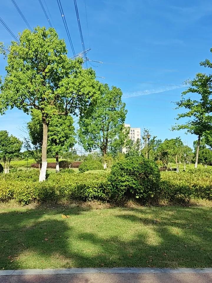 降压药、降糖药，其实都治不了根！真正救命的，是你身上这3个“养生开关”人过五