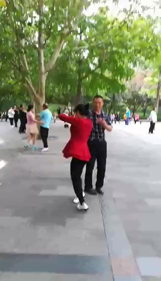 15 单手背拉 荷花舞步北京平四规范交谊舞北京平四规范交谊舞 hyn(流畅)_土豆视频