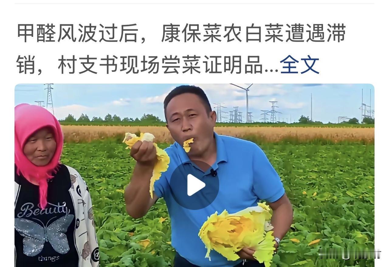 甲醛风波闹得沸沸扬扬，菜农们的大白菜烂在地里没人收，村支书急了，跑到地头抓起白菜
