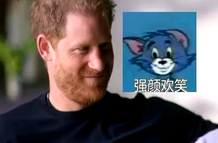 哈里王子现在最后悔---哈里王子