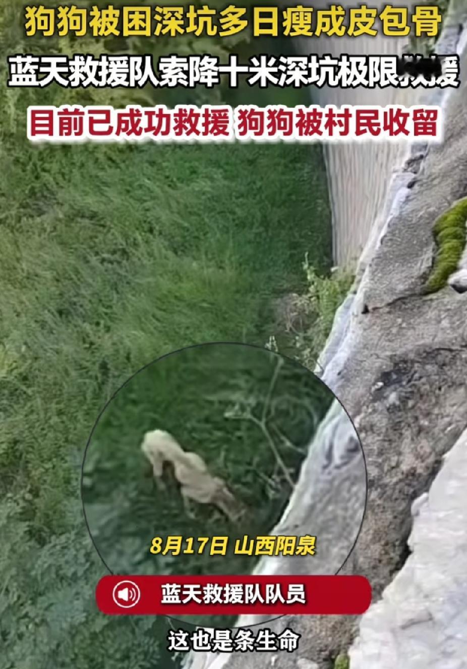 感动！山西阳泉，流浪狗被困在10米深的废弃水库。好在，有人发现后，持续给它投喂食