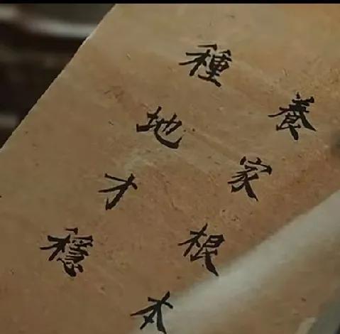 浓浓的父爱在最紧要关头的时候就会体现出来。《生万物》苏苏怀孕了，是郭龟腰的孩子