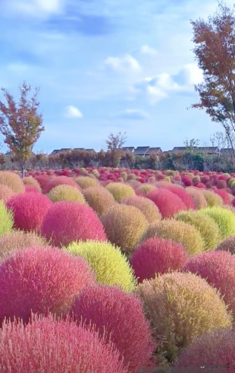 上联：心善福常驻；下联：品良福永延。