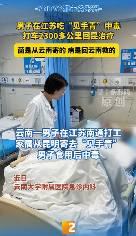 江苏南通，云南男子食用妻子从老家嵩明寄来的见手青后中毒，出现幻觉、昏迷及肝肾功能