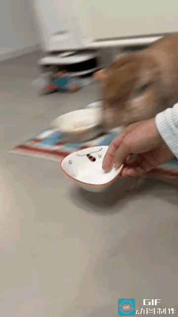 安徽，一女子养了一只兔子当宠物，它想吃东西的时候如果不喂它，它会当场发脾气，还会